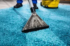 Rug Cleaning Inner West