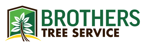 Brothers Tree Service NC