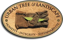 Urban Tree and Landscape