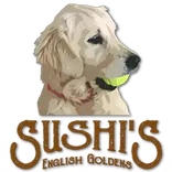 Sushi's English Goldens