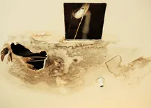 Water Damage Experts of Peach State