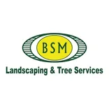 BSM Landscaping and Tree Service