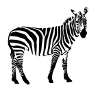 FOURSPLINES