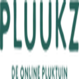 Pioenrozen Kopen - Pluukz