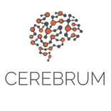 Cerebrum