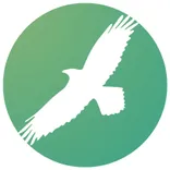 Crow Flies Marketing