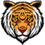 Ranthambore Tiger Reserve