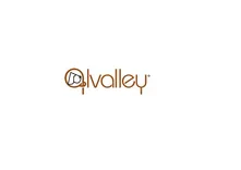Alvalley LLC