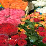 Our Flower Shoppe