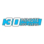 30 Min DPF Clean