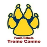 Paulo Rebelo - Treino Canino
