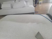 Green carpet solution