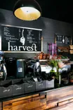 Harvest Coffee