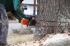 Branch Out Tree Services