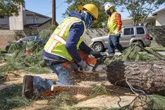 Forest Edge Tree Service