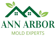 Ann Arbor Mold Remediation Solutions