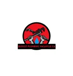Budget Plumbing Vacaville CA