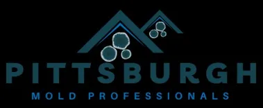 Pittsburgh Mold Removal Solutions