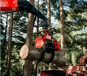Marshalls Tree Service & Firewood, Inc.
