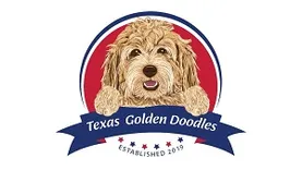 Golden Doodles in Texas