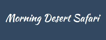 Morning Desert Safari Tours