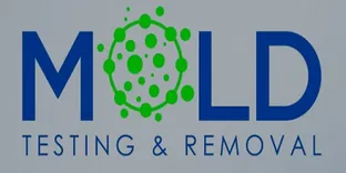 Mold Testing & Removal Services