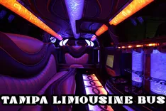 Tampa Limousine Bus