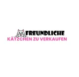 Freundliche katzchen zu verkaufen
