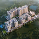 Kalyani Living Tree