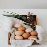 S & R Egg Ranch