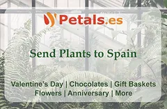 petals.es