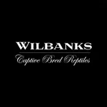 Wilbanks Captive Bred Reptiles