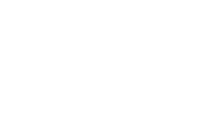 Expo bird