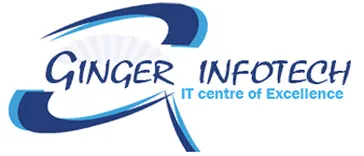 ginger infotech