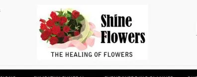 Shine Flowers