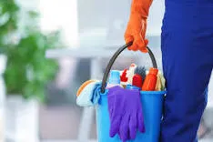 Alba’s professional cleaning services