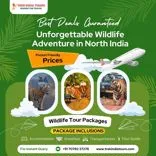Trek India Tours