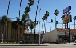 Palm tree inn