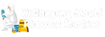 Wollongong Mould Removal Masters