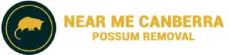 Near Me Canberra Possum Removal