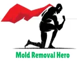 Mold Removal Hero