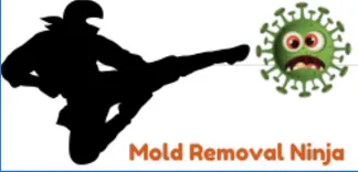 Mold Removal Ninja