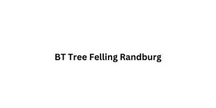 BT Tree Felling Randburg