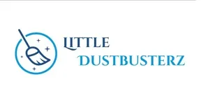 Little Dustbusterz