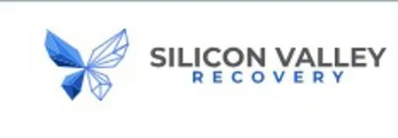 Silicon Valley Recovery
