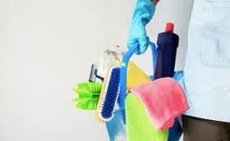 The Master Cleaning Team