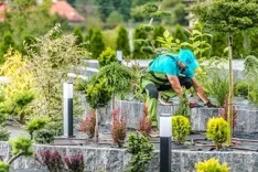 Warren Landscaping Services