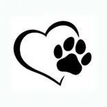 Mavericks Dog Grooming