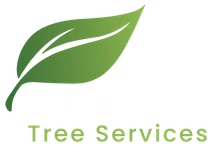 Brixton Tree Professionals