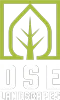 DSE Landscapes